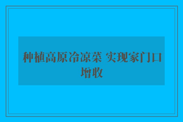 种植高原冷凉菜 实现家门口增收